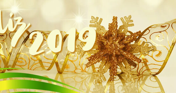 feliz ano novo, ano novo, feliz 2019, facilities, terceirização, segurança privada, segurança patrimonial