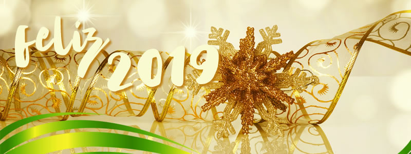 feliz ano novo, ano novo, feliz 2019, facilities, terceirização, segurança privada, segurança patrimonial