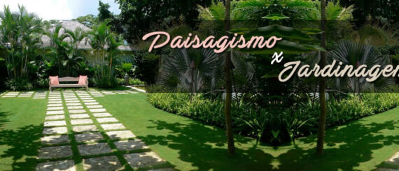 paisagismo, jardinagem, personalité serviços, serviços terceirizados, Paisagismo e Jardinagem